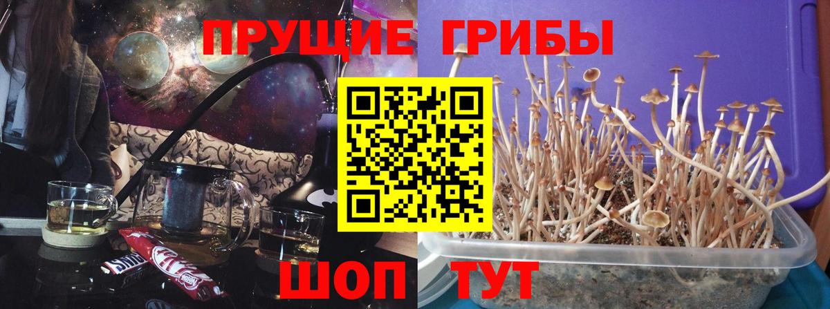 Псилоцибиновые грибы ЛСД  Вход с VPN  Алапаевск 